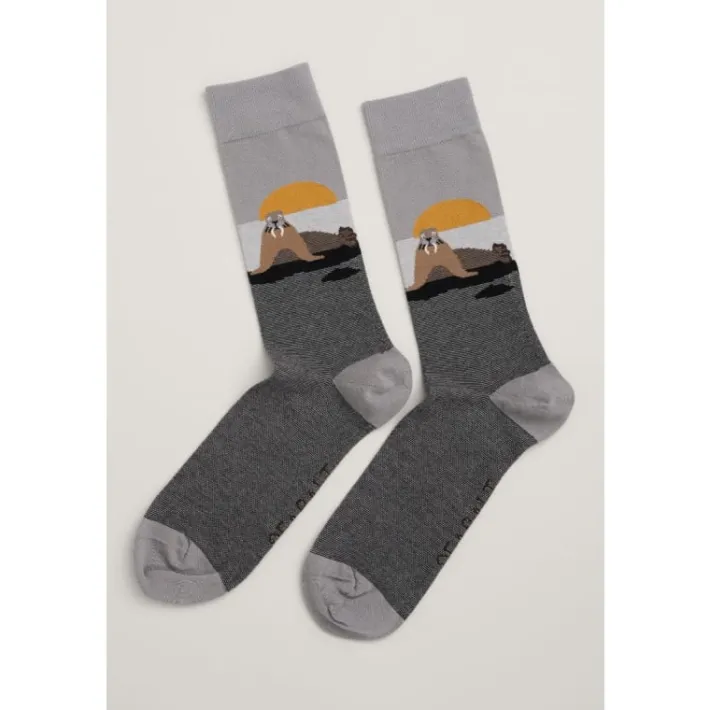 Seasalt Cornwall Men's Arty Organic Cotton Socks- Socks